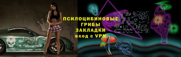тгк Зеленодольск