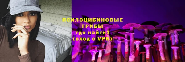 тгк Зеленодольск