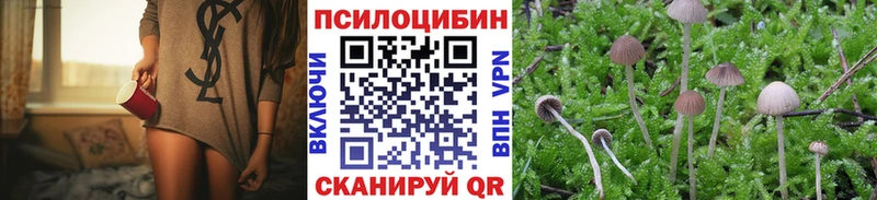 Купить закладки  Электросталь  Галлюциногенные грибы ЛСД 